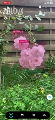 vlcsnap-2024-08-10-11h45m14s049