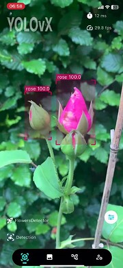 vlcsnap-2024-08-10-11h44m17s064